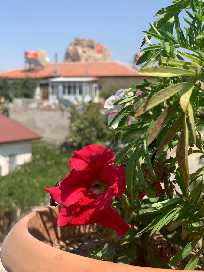 Capiedra Hotel Uchisar Exterior photo
